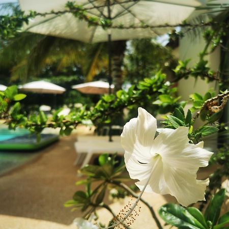 La Maison Vanille Ngaparou Esterno foto